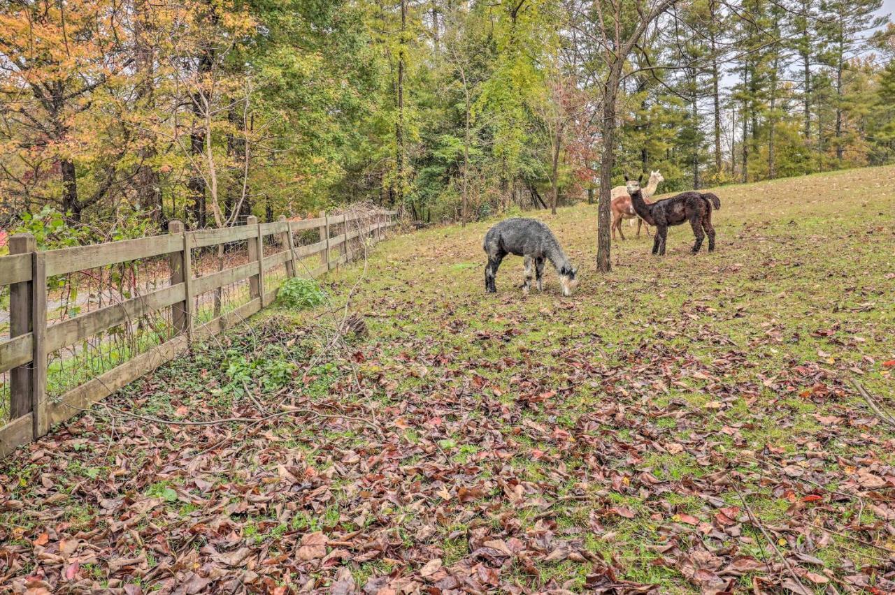 Rustic Hendersonville Farm Studio With Private Deck Esterno foto