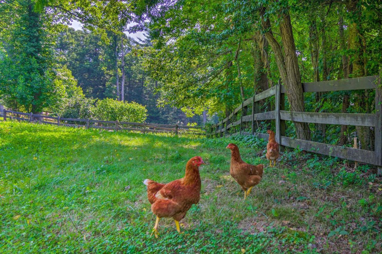 Rustic Hendersonville Farm Studio With Private Deck Esterno foto