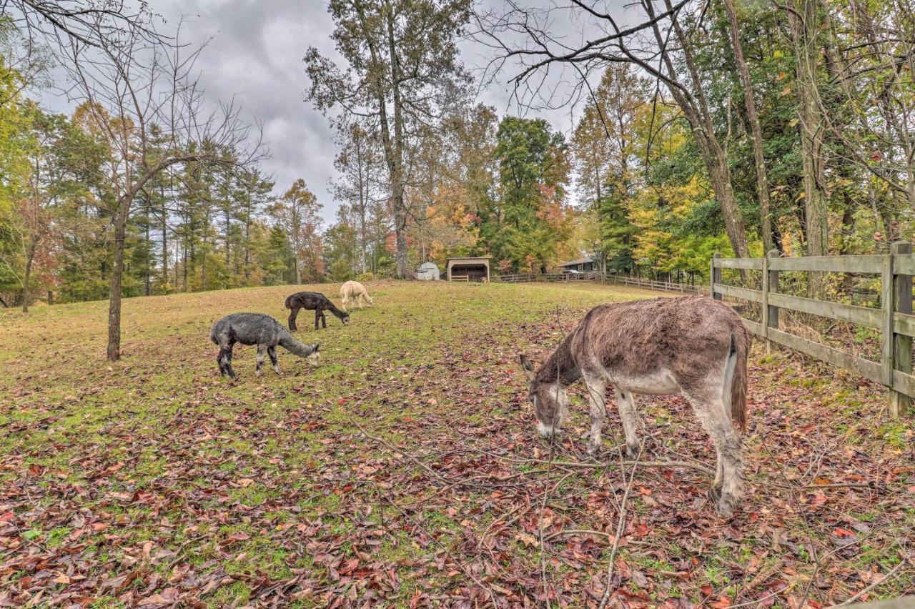 Rustic Hendersonville Farm Studio With Private Deck Esterno foto