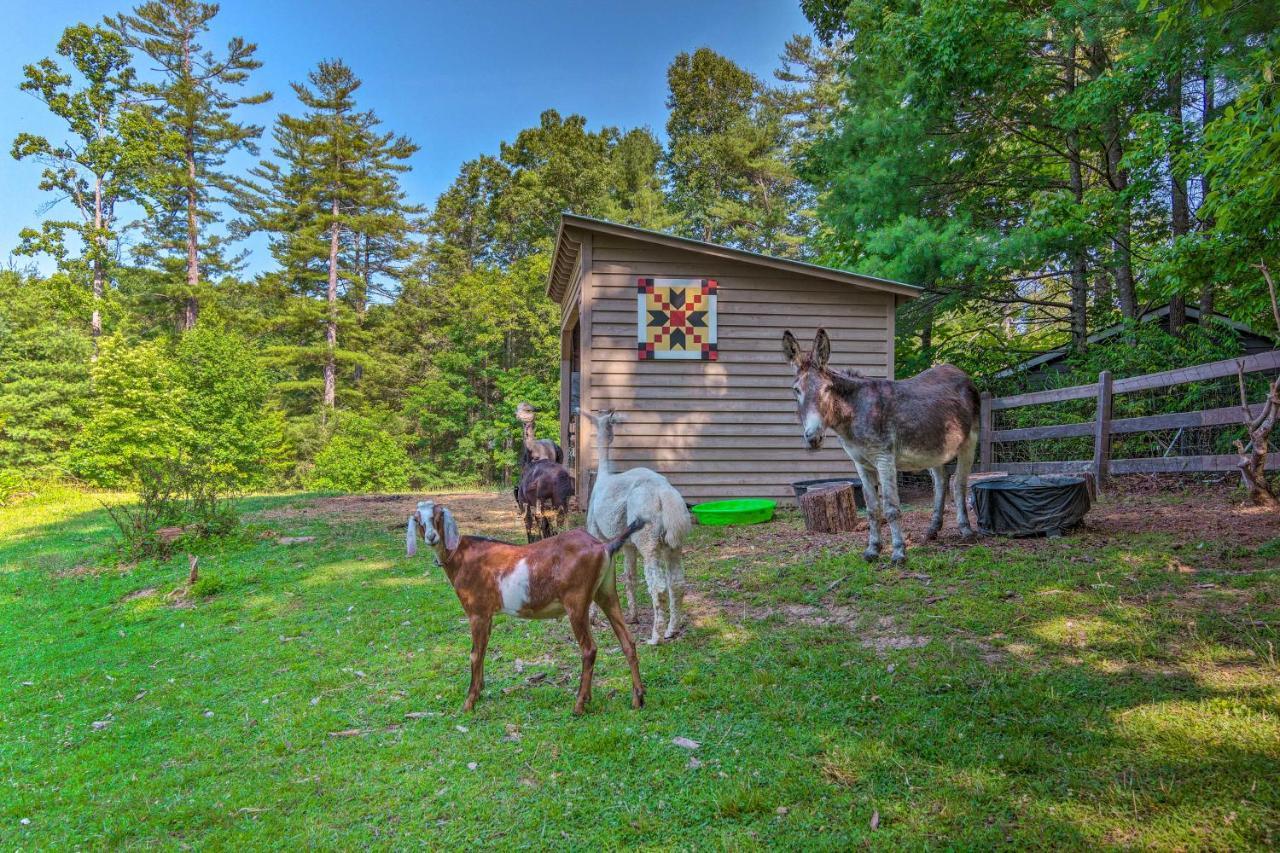 Rustic Hendersonville Farm Studio With Private Deck Esterno foto